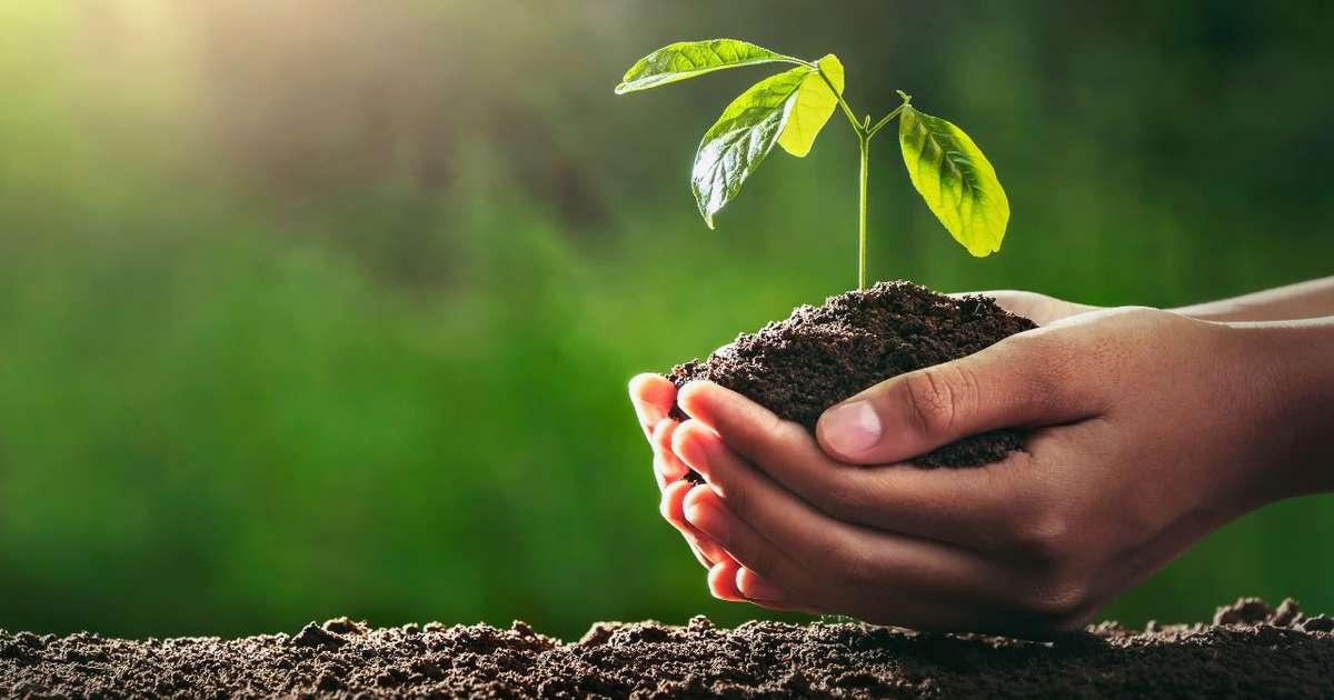 Como as bactérias do solo afetam nossas emoções?Pegue!