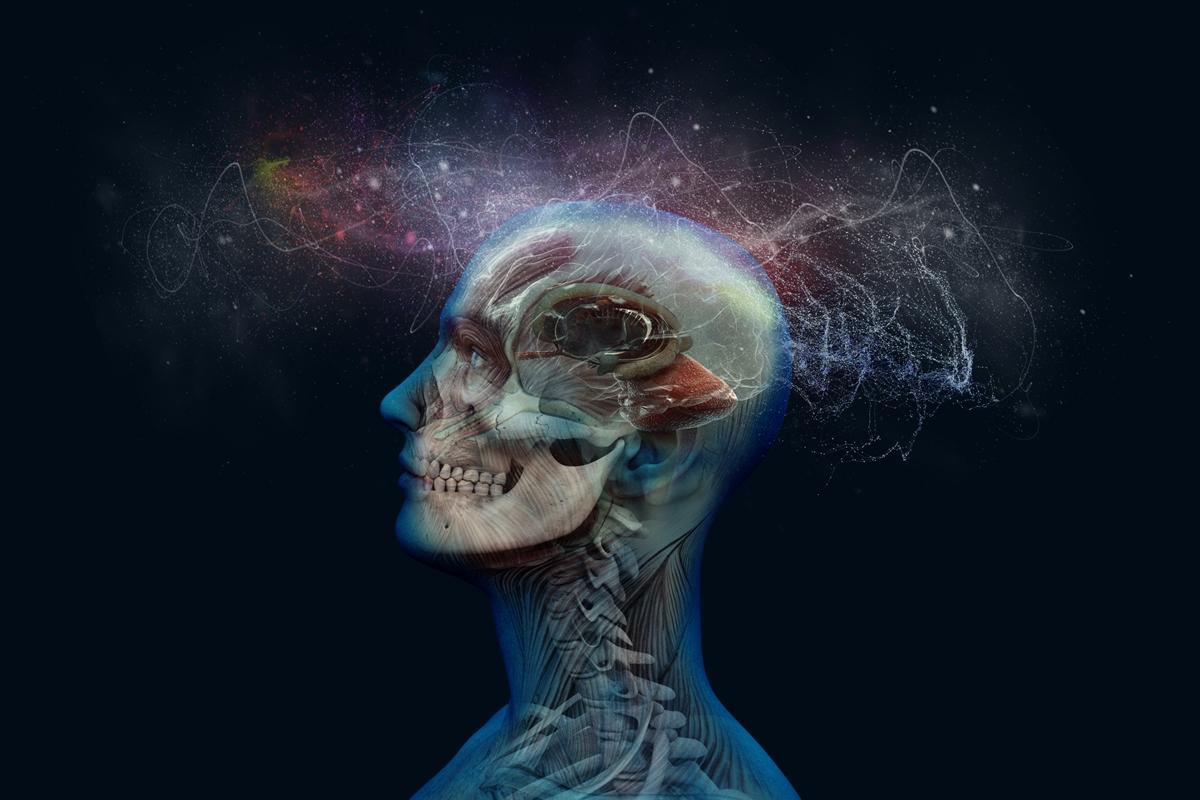 Cientistas descobriram uma pista sobre como reverter a ansiedade