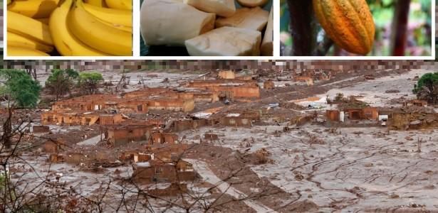 Toxic elements in bananas grown in the Mariana region exceed FAO limit values