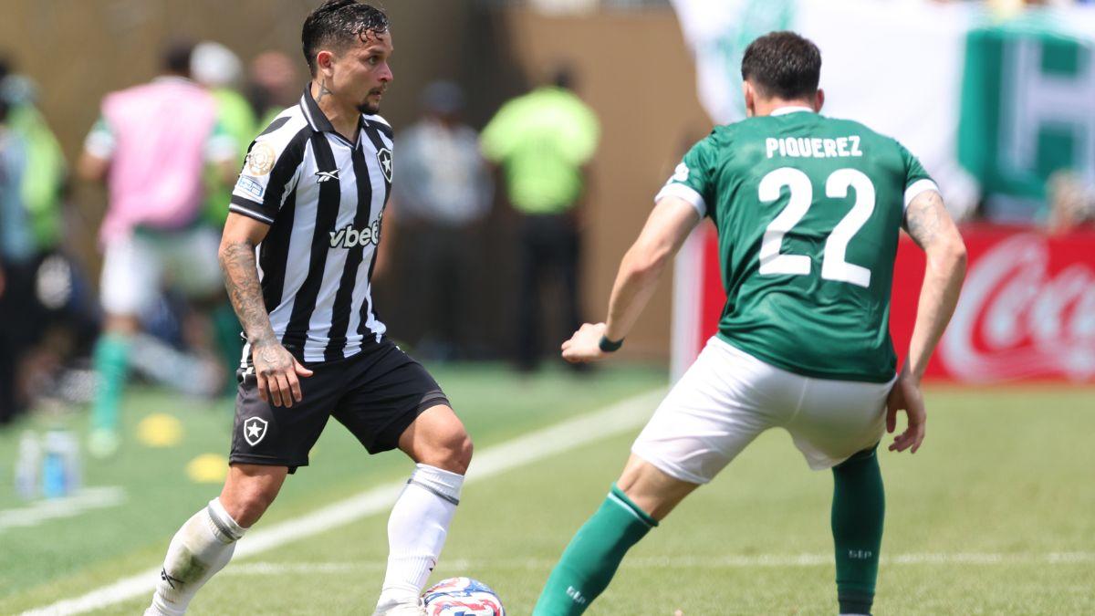 Onde assistir Botafogo x Palmeiras ao vivo para o Total Series 2025 - NSC
